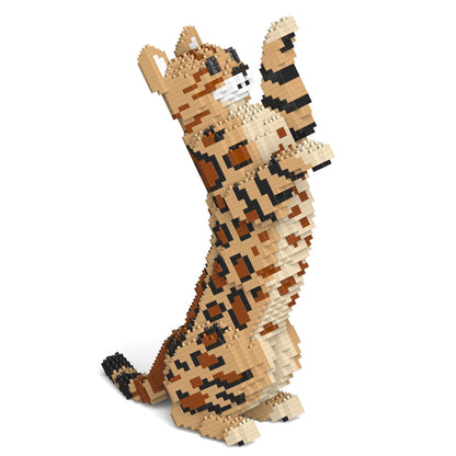 Bengal Cat 4-in-1 Pack 01S-M01