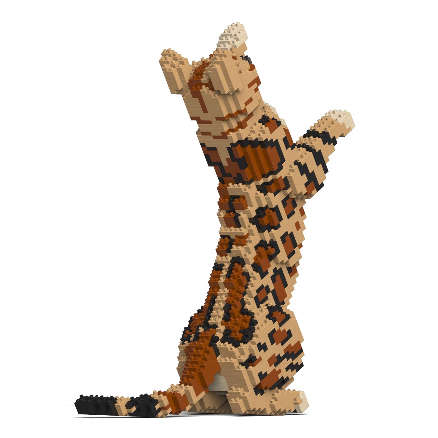 Bengal Cat 4-in-1 Pack 01S-M01