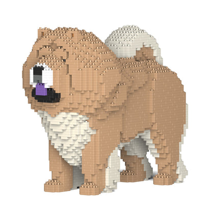 Chow Chow 02-M01