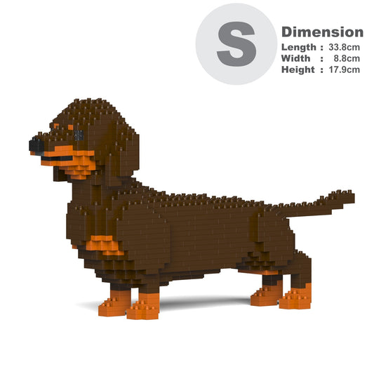 Dachshund 02-M02