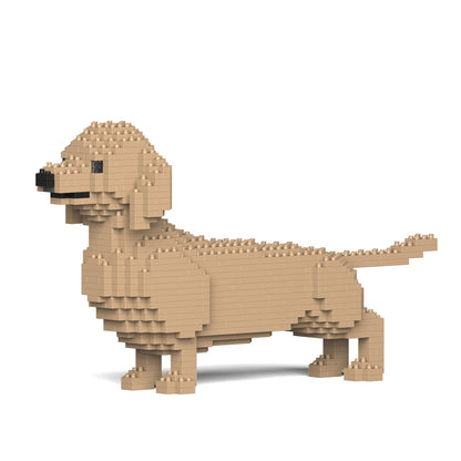 Dachshund 02-M03