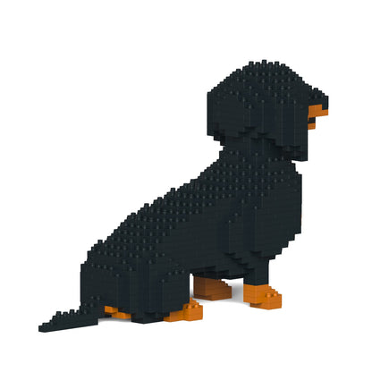 Dachshund 03-M01