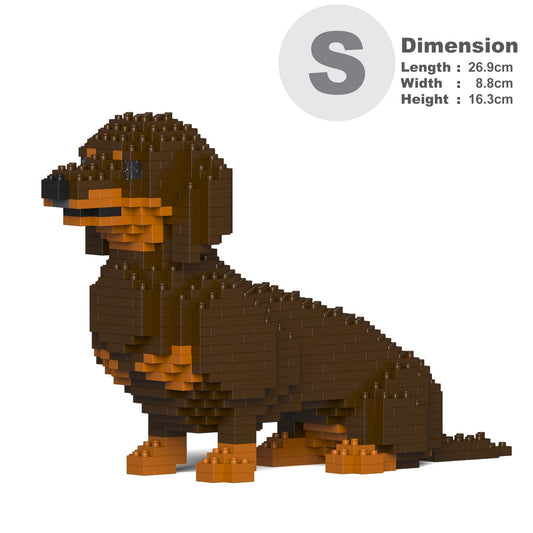 Dachshund 03-M02