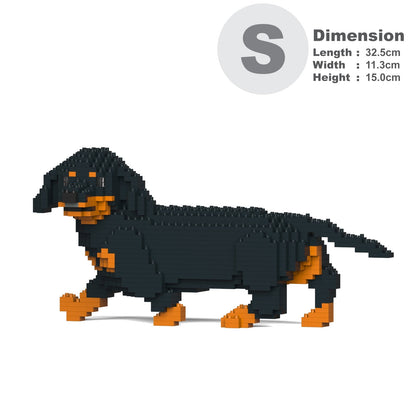 Dachshund 06-M01
