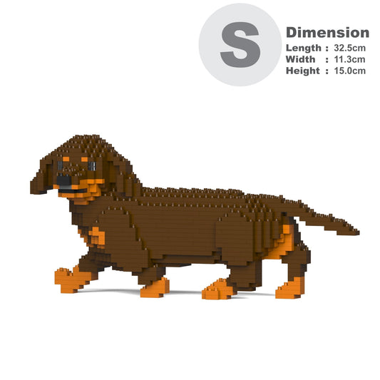 Dachshund 06-M02