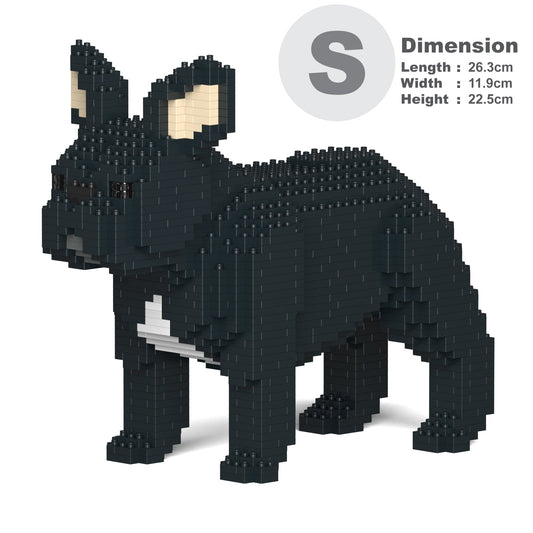 French Bulldog 02-M03