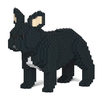 French Bulldog 02-M03