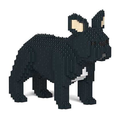French Bulldog 02-M03
