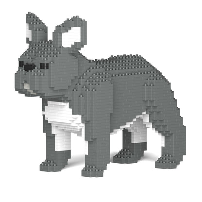 French Bulldog 02-M05