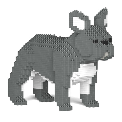 French Bulldog 02-M05