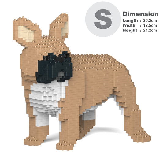 French Bulldog 03-M01