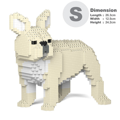 French Bulldog 03-M02