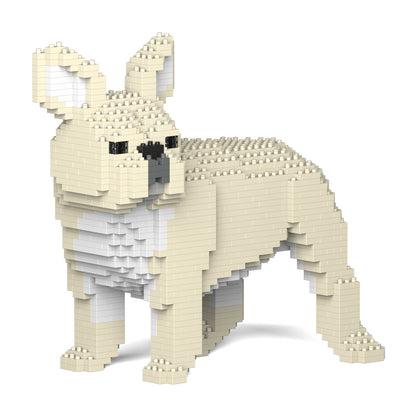 French Bulldog 03-M02