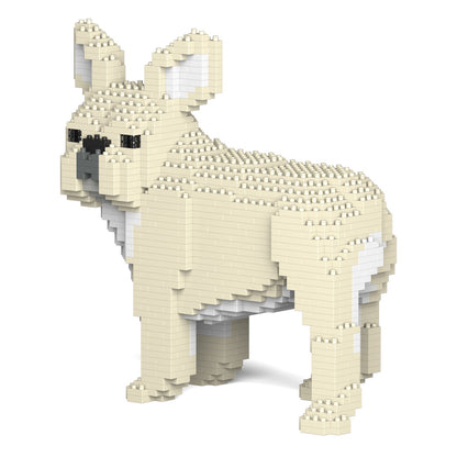 French Bulldog 03-M02