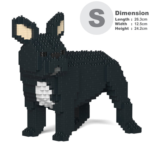 French Bulldog 03-M03