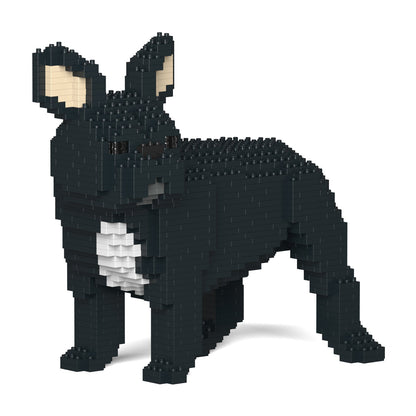 French Bulldog 03-M03