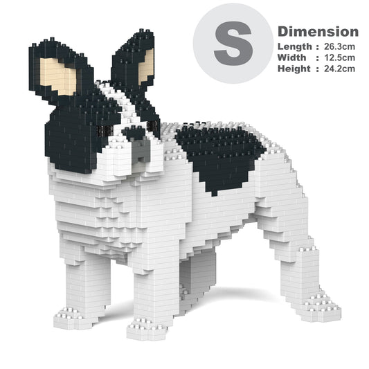 French Bulldog 03-M04