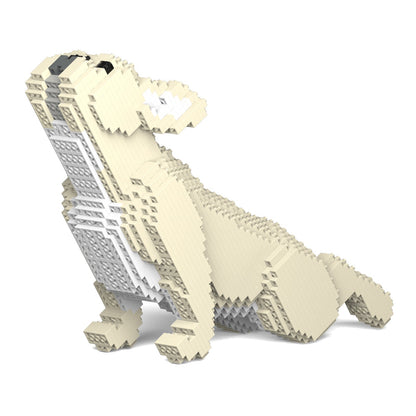 French Bulldog 05-M02