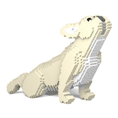 French Bulldog 05-M02