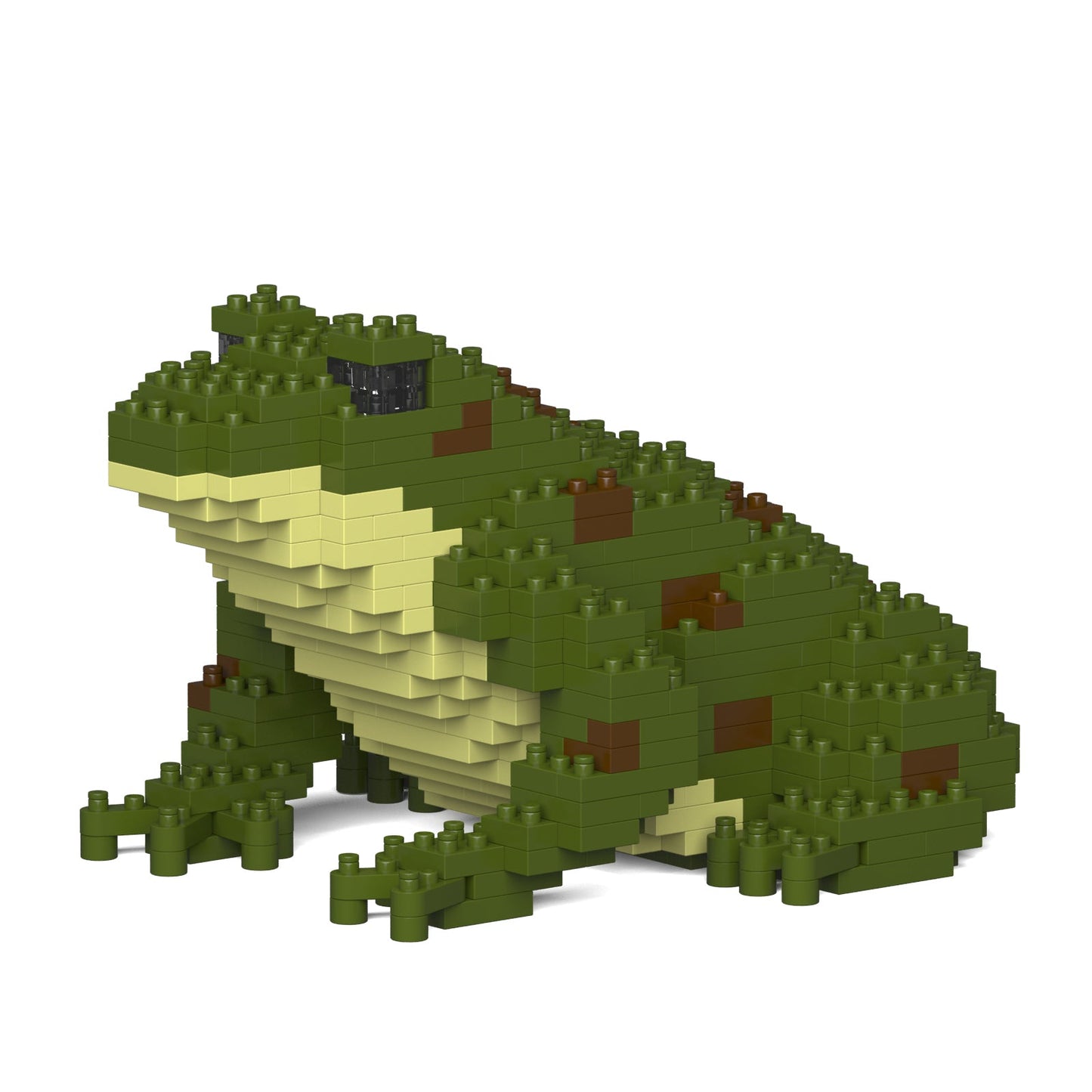 Frog 01-M02