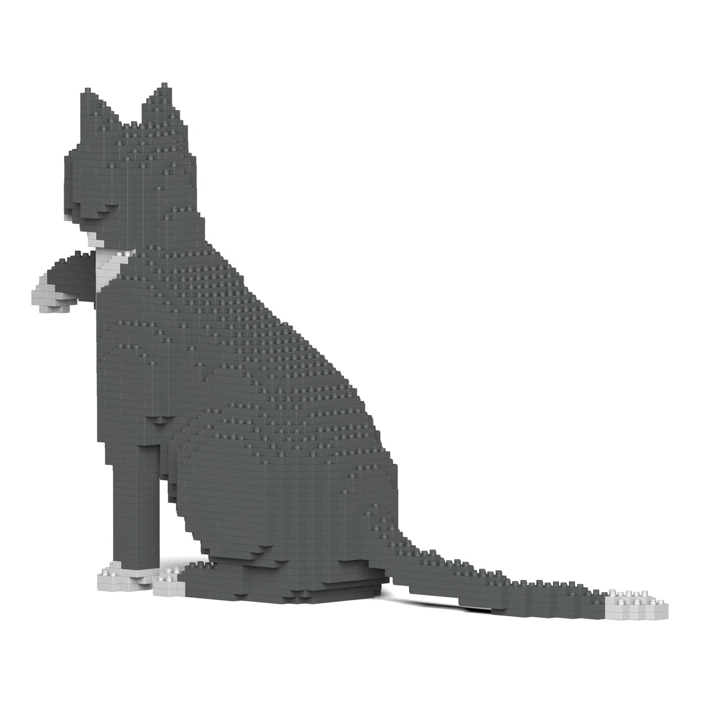 Grey Tuxedo Cat 03S
