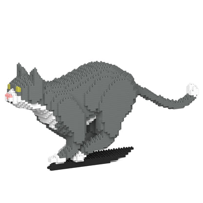 Grey Tuxedo Cat 06S