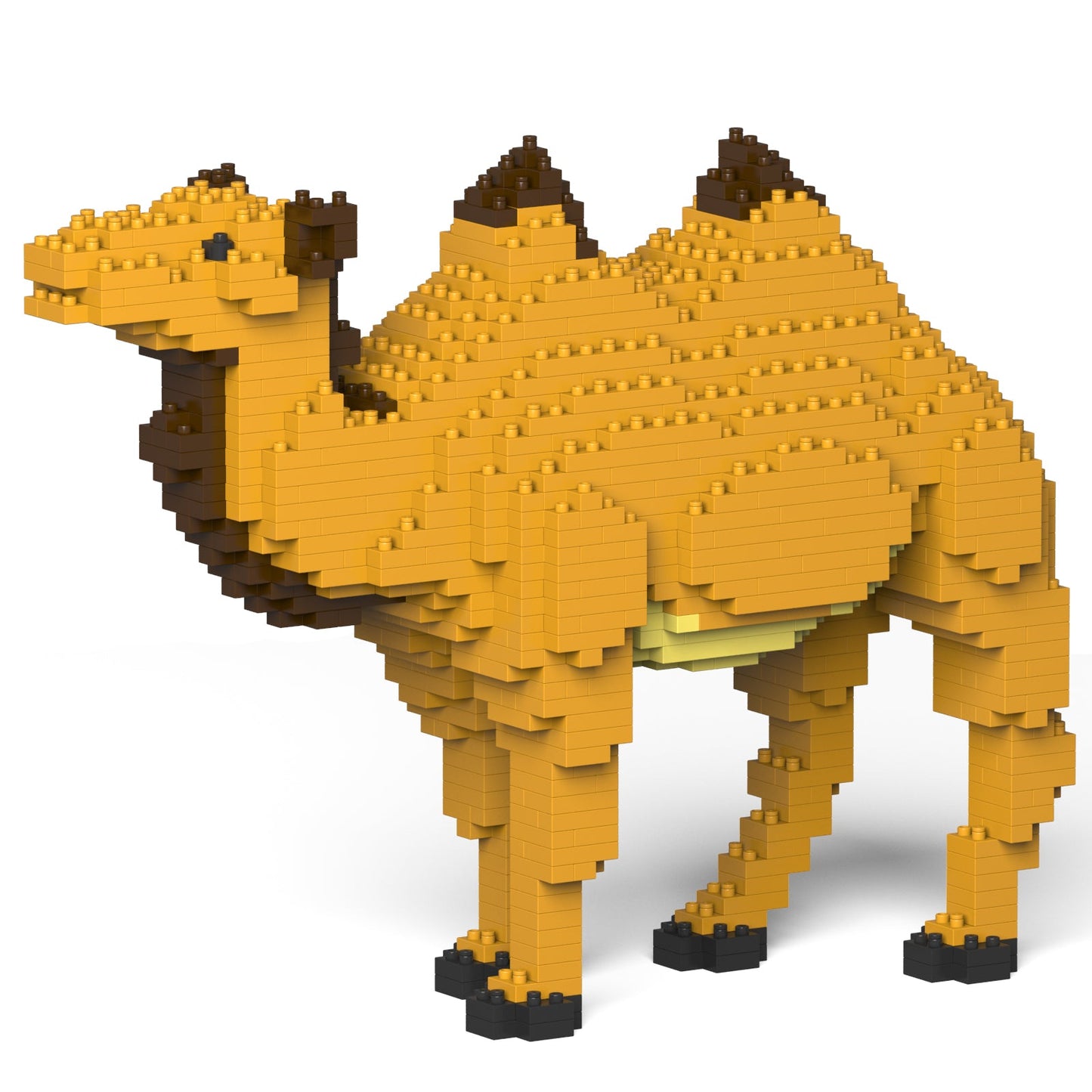 Camel 01
