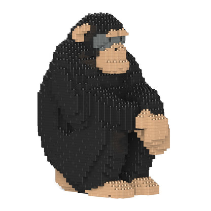 Chimpanzee 01