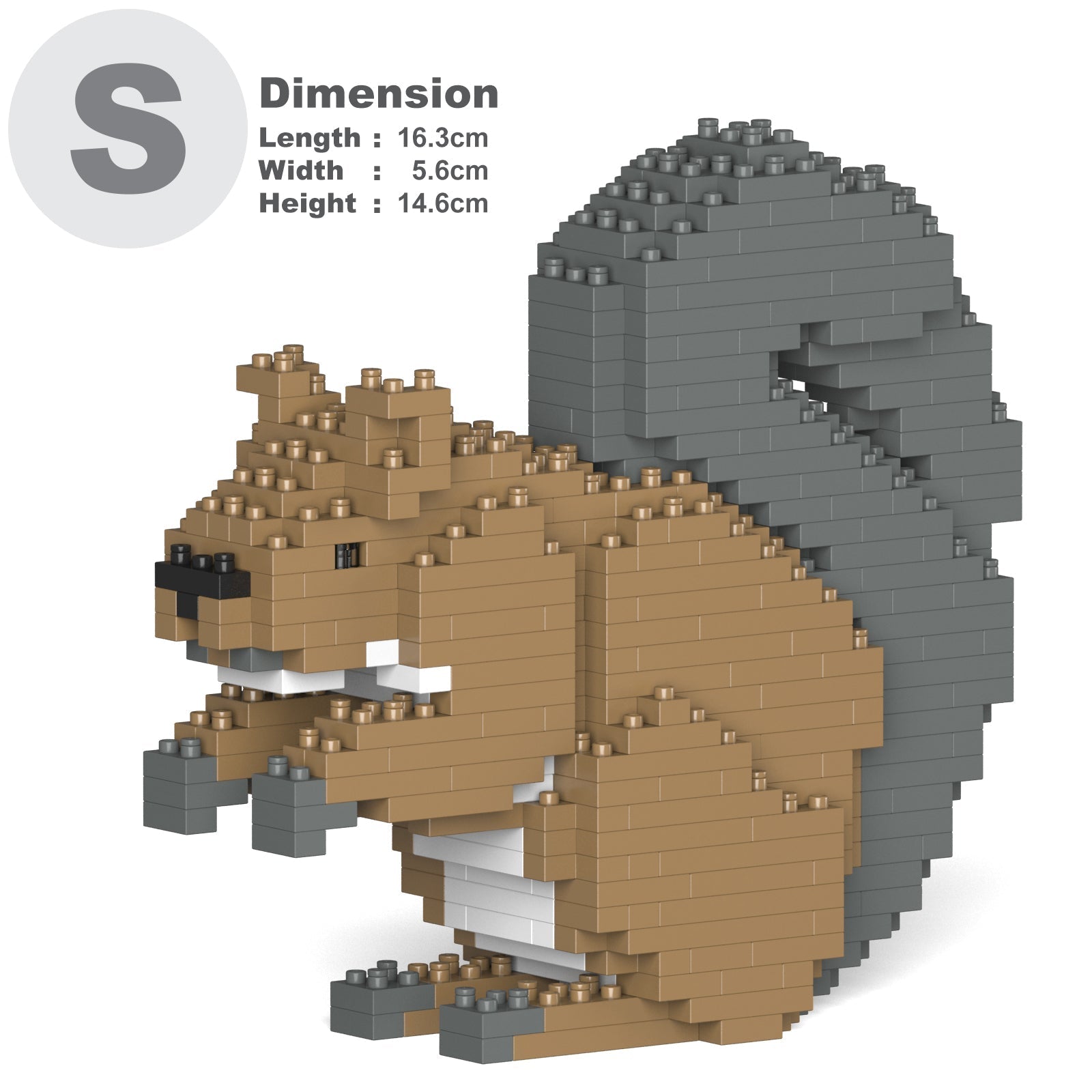 Squirrel 01 – JEKCA Australia