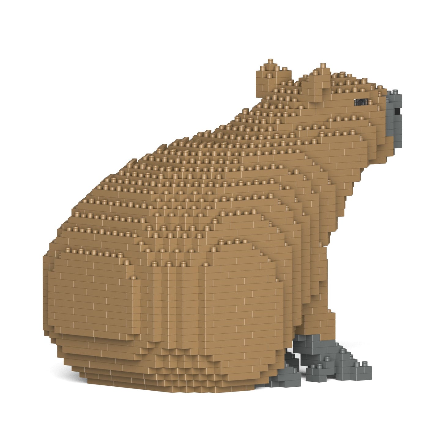 Capybara 01