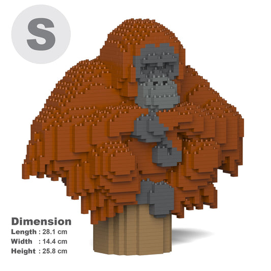 Orangutan 01
