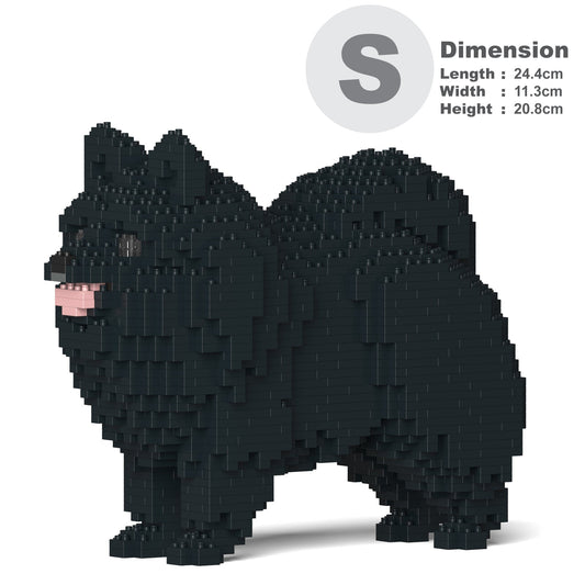 Pomeranian 02-M03