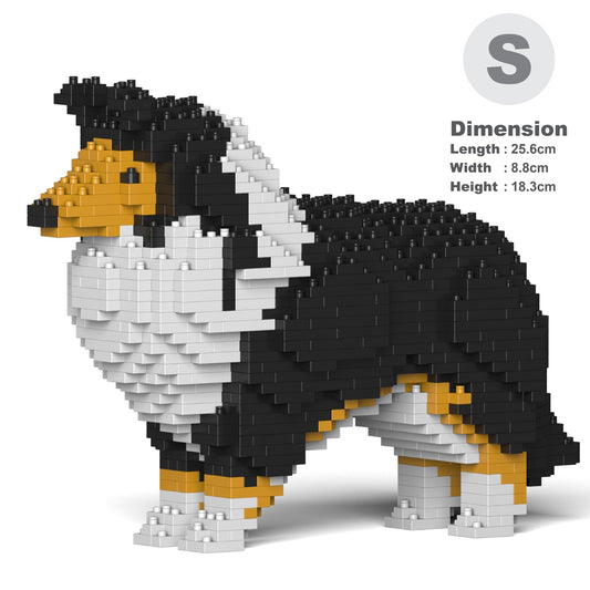 Shetland Sheepdog 01-S02