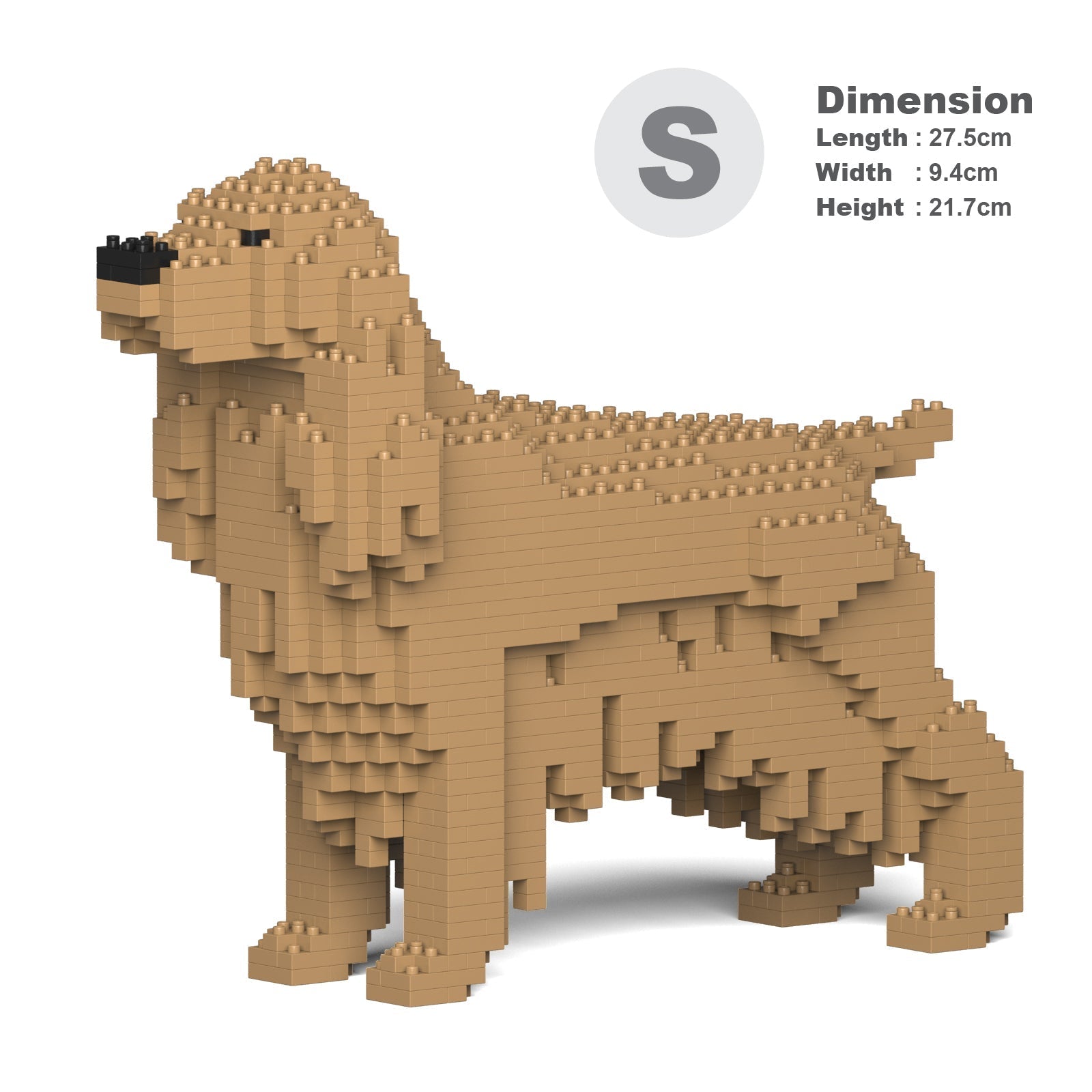 English Cocker Spaniel 01-M01 – JEKCA Australia