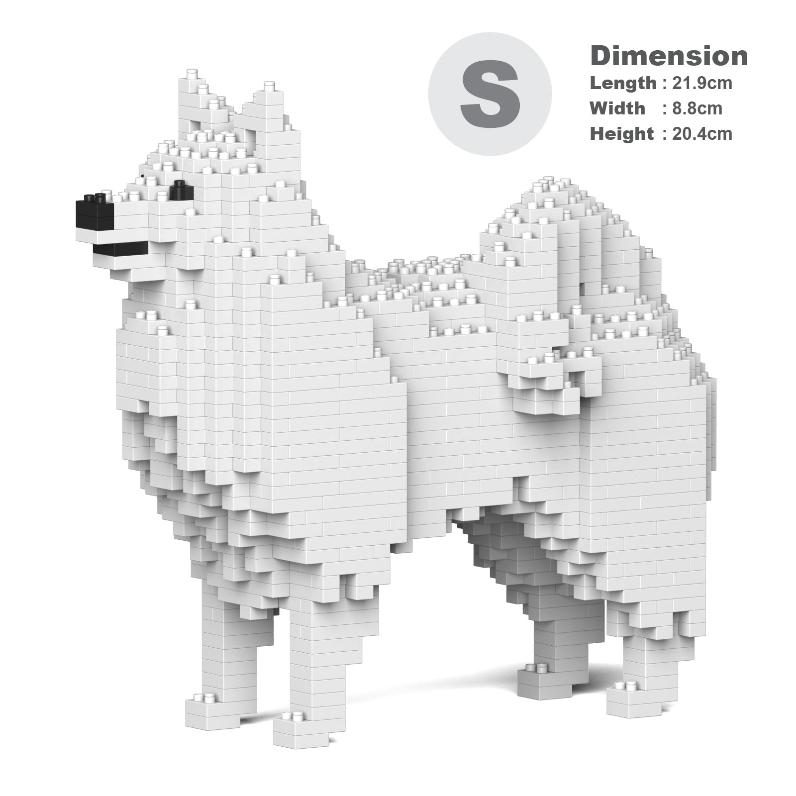 Japanese Spitz 01 – JEKCA Australia