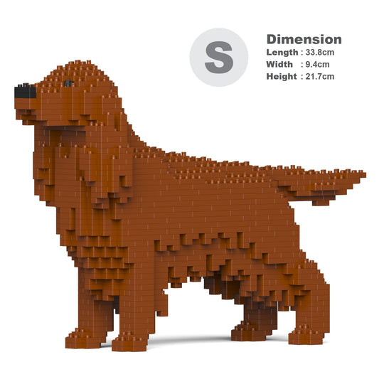 Irish Setter 01-M01