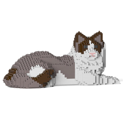 Ragdoll Cat 03S-M01