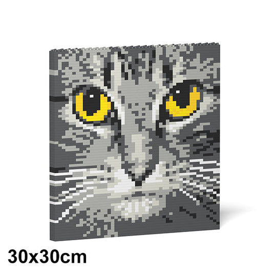 Cat Eyes Brick Painting 04S-M02